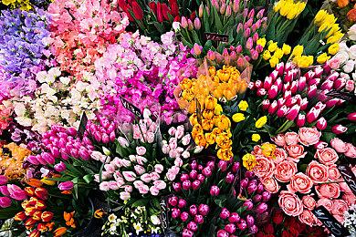 《鬼泣5：特别版》更新上线 XSX|S支持VRR